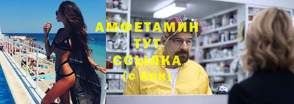 ГАЛЛЮЦИНОГЕННЫЕ ГРИБЫ Аркадак