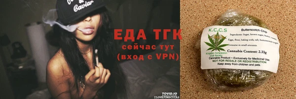 ГАЛЛЮЦИНОГЕННЫЕ ГРИБЫ Аркадак