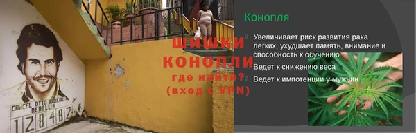 ГАЛЛЮЦИНОГЕННЫЕ ГРИБЫ Аркадак