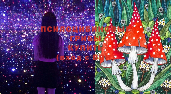шишки Армянск