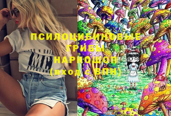 ГАЛЛЮЦИНОГЕННЫЕ ГРИБЫ Аркадак