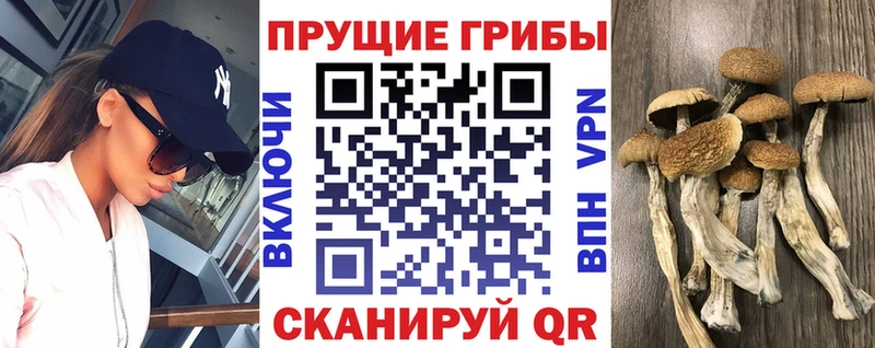наркошоп  Липки  hydra ТОР  Галлюциногенные грибы прущие грибы 