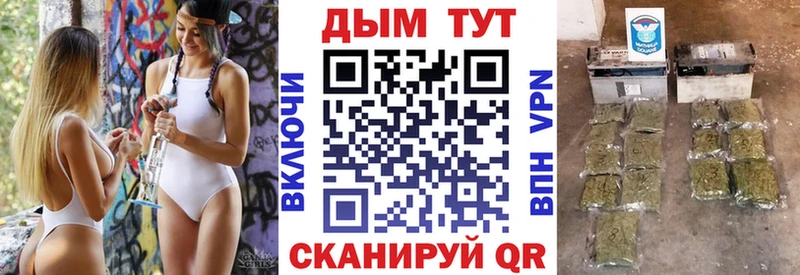 как найти   Липки  Каннабис индика 